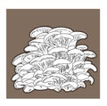 Oyster mushrooms in a linear style on a brown background